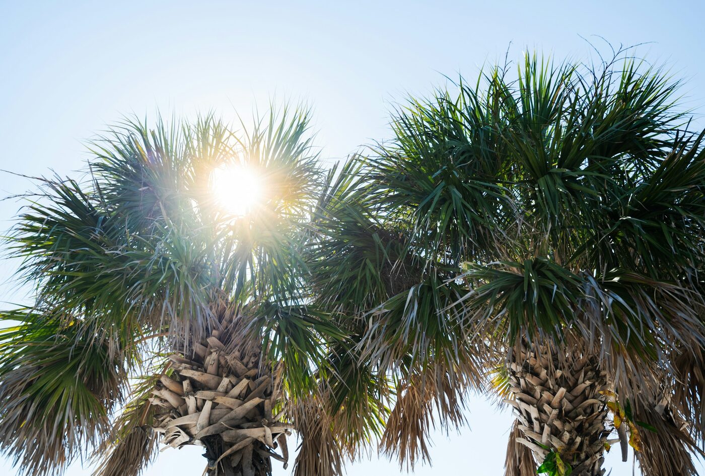 Palmer Ranch, Florida